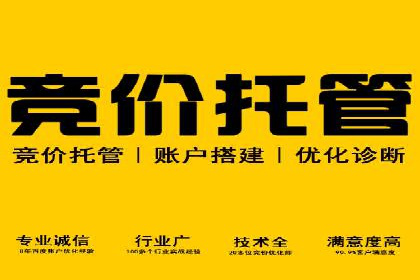 案例分析：竞价SEM托管助力企业转型升级